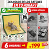 6 x 1 Trampa Adhesiva Para Ratones