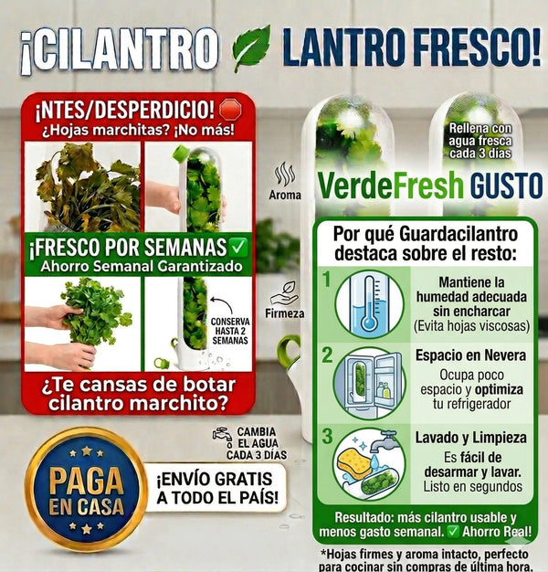 Guardacilantro Fresco Fácil y Duradero